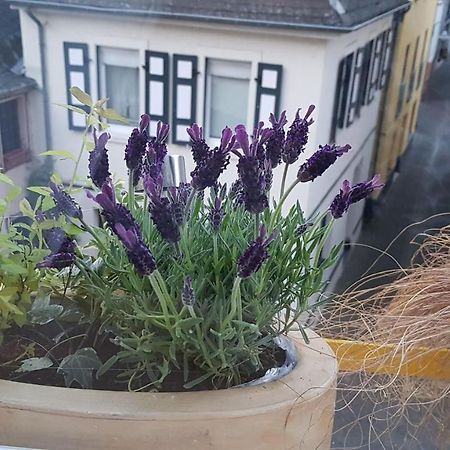 Вилла Haus Alfina Экстерьер фото